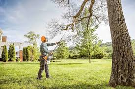 Best Lawn Renovation and Restoration  in Brush Prairie, WA